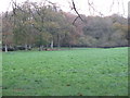 View across Kiln Platt to Hardnip's Copse in RH14 0PZ