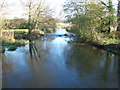 The River Wensum at Sculthorpe Mill near Fakenham in NR21 9QD