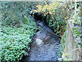 Stream under the A129 in SS11 8SA