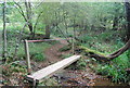 Footbridge in Mab's Wood in TN5 6JY