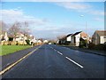 Davington Drive, Hamilton in ML3 8PY