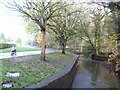 Path by the River Sheaf in Millhouses Park in S7 2QQ