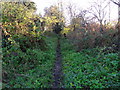 Trodden Track in CH64 4ER