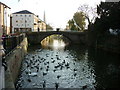 Feeding the birds on the Old River Ancholme in DN20 9SY