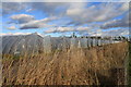 Polythene greenhouses in DD3 0PY