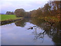 River Irwell at Burrs, Bury in BL8 1YE
