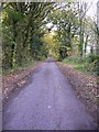 Lane going south west from Ryefield Cottages in GU31 5PE