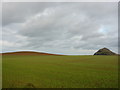 East Lothian Landscape : Brown Wave Approaching Pointy Hill in EH39 5JB