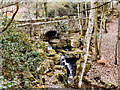 Bridge Over Raveden Brook, Smithills Country Park in BL1 7DL
