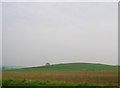 Hambleton Hill, north of Grantham in NG32 2NT
