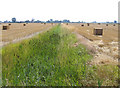 Reedy drain from Bull's Bank, Donington South Ing, Lincs in PE11 4RF
