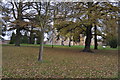 Pershore : Abbey Park in WR10 1LZ