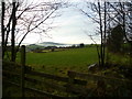 Above Monkley Gill Beck in Halton-with-Aughton