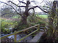 Footbridge over Lindwaysprings Brook in DE55 6DS