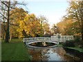 Bridge, Morden Hall Park in CR4 4DG
