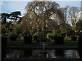Pond and willow tree in Kingsnorth Gardens in CT19 5LT