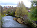 River Kelvin at Kelvinbridge in G3 6WH