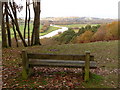 Woodgreen: viewpoint bench on Castle Hill in SP6 2AX