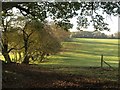 Field and field boundary, Dorney Wood in Burnham