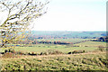 2010 : East of north from Great Cheverell Hill in SN10 5TL