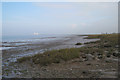 Mudflats-saltmarsh boundary, Littleton Warth in BS35 1NR