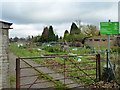 Tattenham Way allotments in KT18 5XE