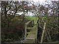 Footbridge in a hedge near Dymchurch in TN29 0PG