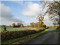 Country road in Autumn in PE33 9EA