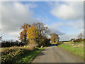 Country road in Autumn in PE33 9EF