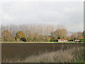 Leafless poplars and sheds in PE33 9RW