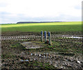 Water mains markers in field south of BesenelFarm, Fincham in PE33 9HQ