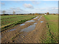 Puddles on Black Drove, Fincham in PE33 9ER