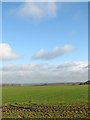 Cultivated fields east of Black Drove in PE33 9ER