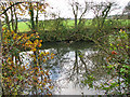 Pond south-east of Park Farm, Stow Bardolph in PE34 3HX