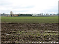 View across field towards Manor Farm, West Dereham in PE33 9RW