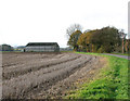 Shed in field opposite Whindrove Farm, West Dereham in PE33 9RL