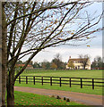 Driveway to Abbey Stud Farm, West Dereham in PE33 9UP