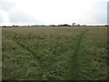 Footpath and track junction in a sheep pasture in Romney Marshes in TN29 0AQ