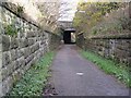 The Tyne Esk Trail goes under Loanhead in EH20 9DE