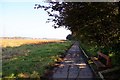 Footpath beside the Wyre estuary in Stanah Ward