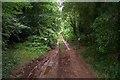 Muddy track at Buncombe Wood in TA5 1AX
