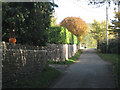 Lane past Prospect Farm in BS35 1NN
