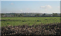 Littleton-upon-Severn from Cophills Lane in BS35 1NN