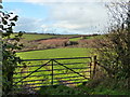 Gate and field from lay-by near Brynely in SA34 0PJ