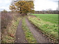 Footpath on Lower Park Road towards Poynton in SK12 1EE