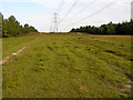Pylons on Horestone Hill, New Forest in SO45 5SQ