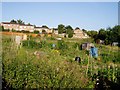 Bisley Old Road Allotments, Stroud in GL5 1XA