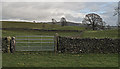Fields and walls east of Burneside in LA9 6LJ