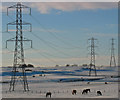 Pylons and horses in KY13 0UY