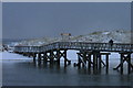 A man and his dog cross the Seatown footbridge in IV31 6JG